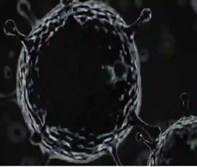 Black fungus  of लखनऊ का बायोटेक पार्क ब्लैक फंगस में कारगर एंम्फोटेरेसिन-बी का उत्पादन बढ़ाएगा